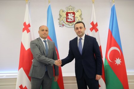 Azərbaycanın mədəniyyət naziri Gürcüstanın Baş naziri ilə görüşüb